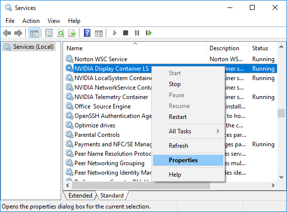 Right-click on NVIDIA Display Container LS then select Properties