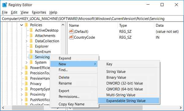 Right click on Servicing key and then select New and Expandable String Value