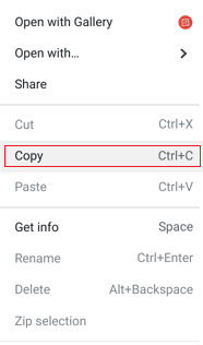 Right-click on the files and click on Copy from the context menu | How to Delete Images on Chromebook Read Only