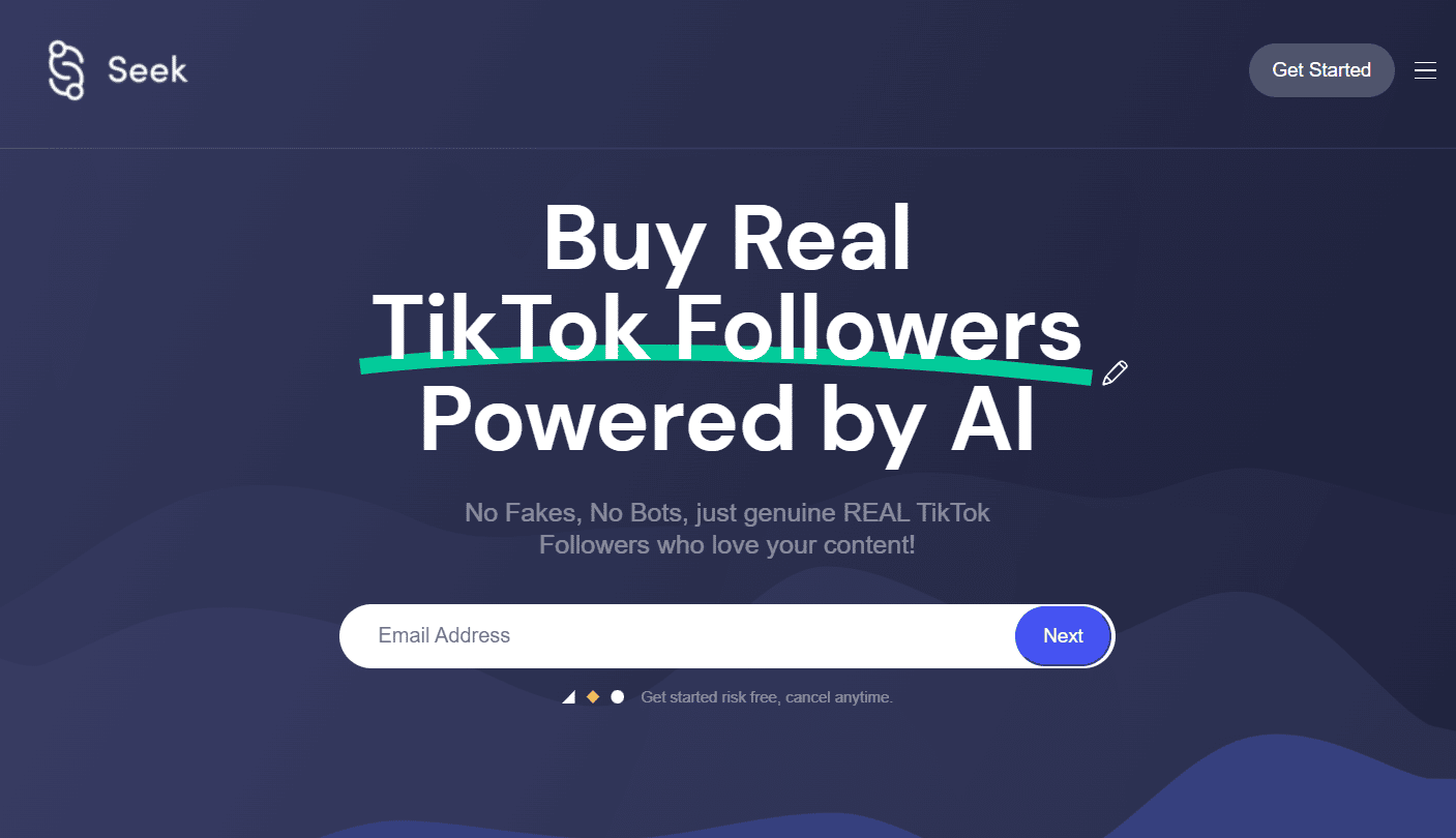 Seek Socially website | increase TikTok likes