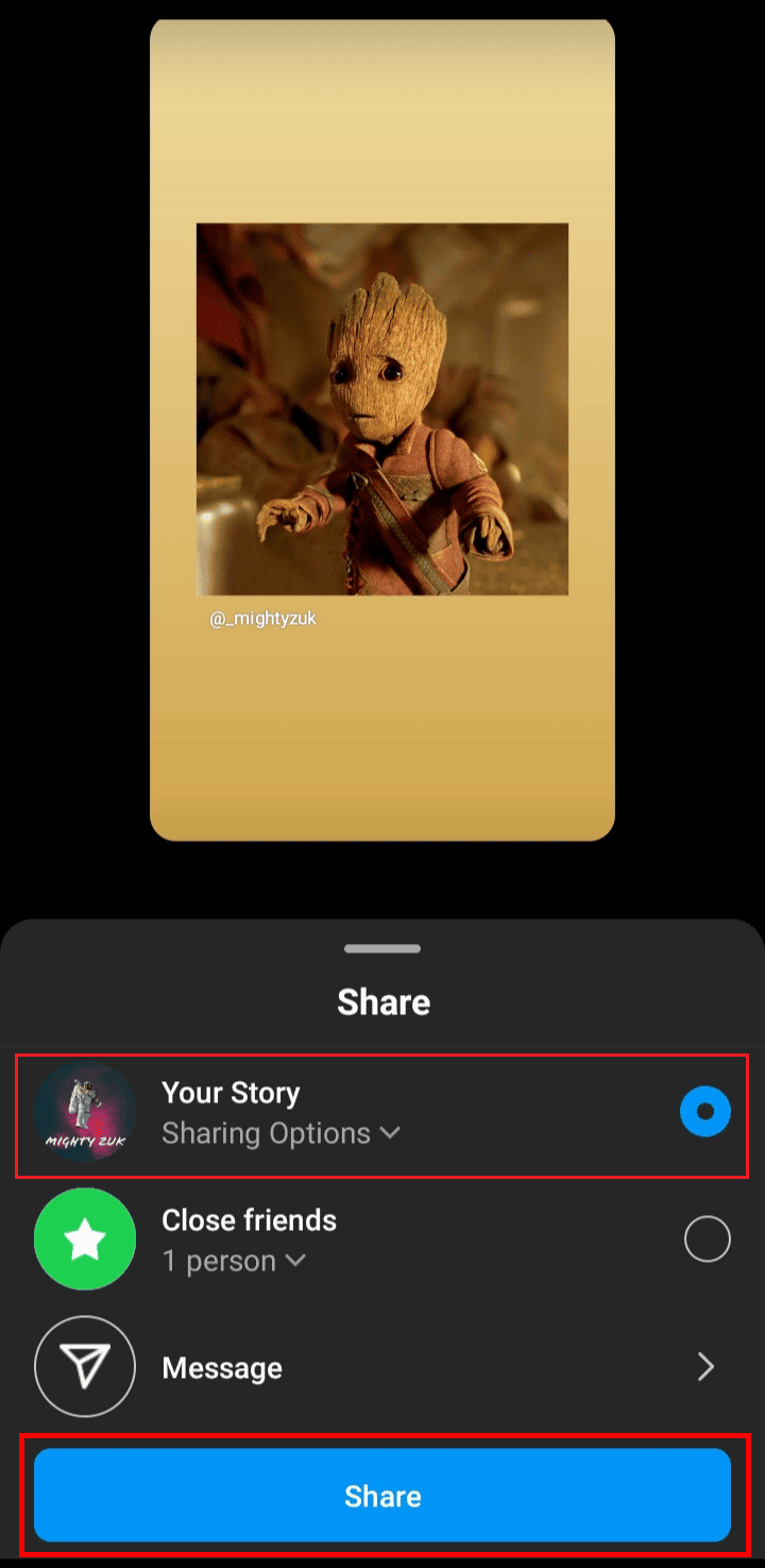 Select the Your Story radio button and tap on the Share option to share your post as an Instagram story