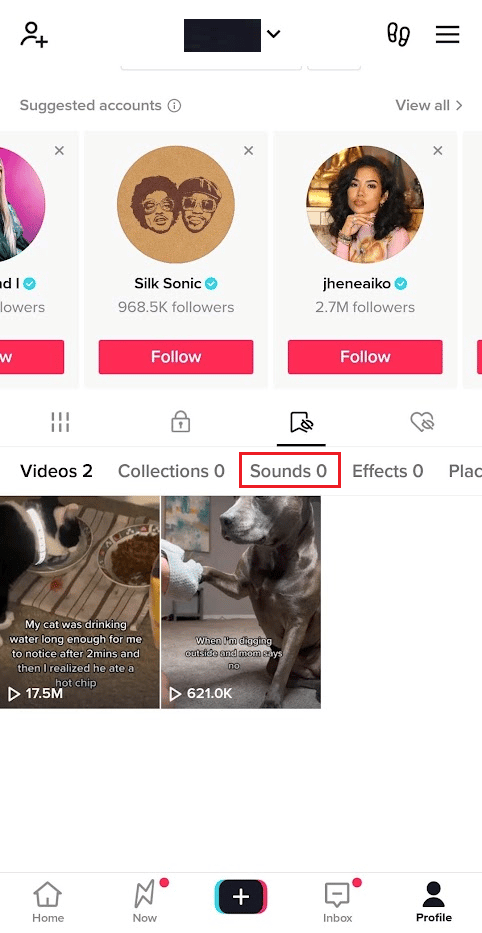 Switch to the Sounds tab in the Bookmarks section to see the favorite saved sounds | How to View Favorites on TikTok PC