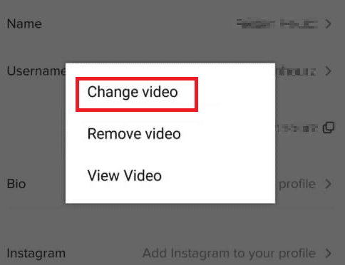 Tap on Change video | How Do I Change My Profile Picture On TikTok