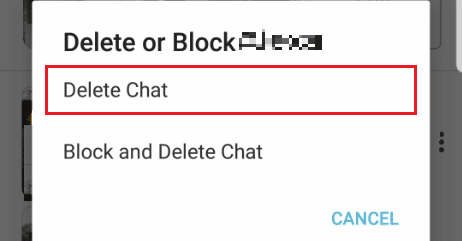Tap on Delete Chat