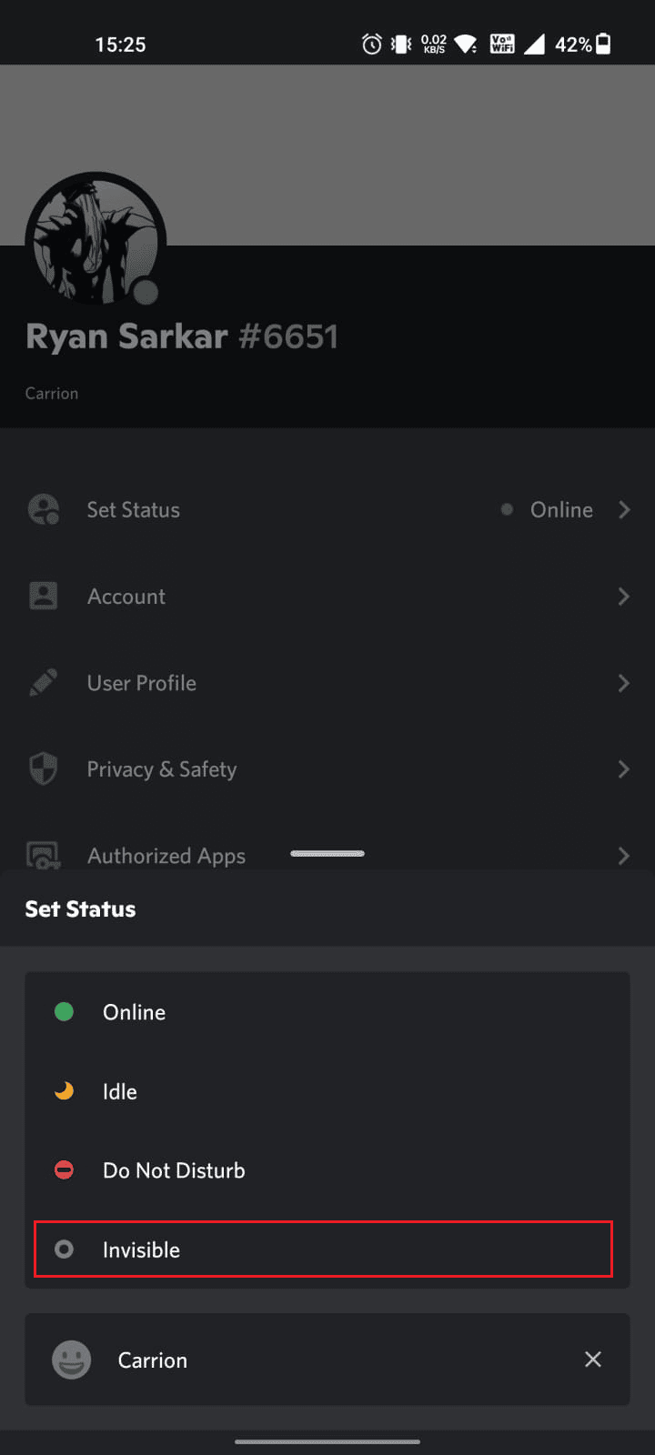 Tap on Invisible from the popup menu to appear offline on Discord | How to Appear Offline to One Server in Discord