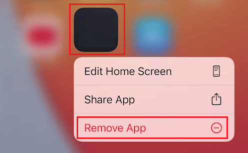 Tap on Remove App Delete iOS iPhone