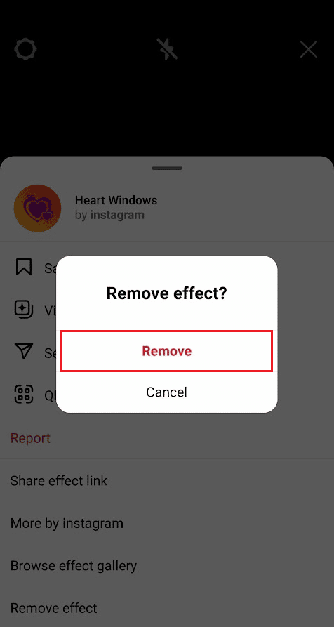 Tap on Remove from the popup window to successfully remove the filter from the IG camera