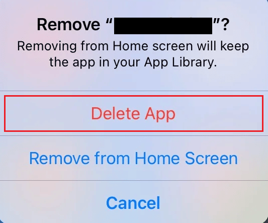Tap on the Delete App option