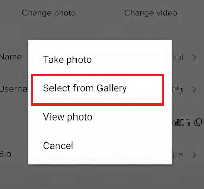 Tap on the Select from Gallery option and select the desired downloaded image | TikTok pfp maker