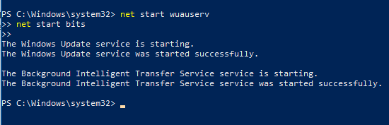 Type command to activate Windows Update related services again