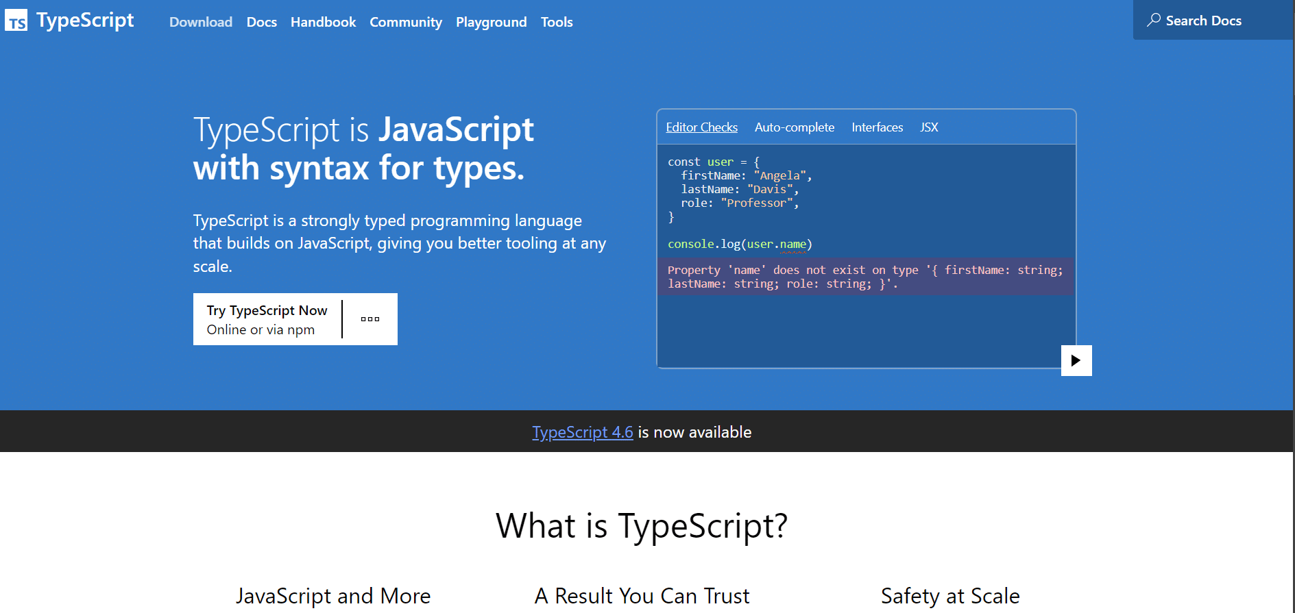 Typescript. 10 Best Programming Language to Learn