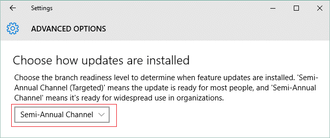 Under Choose when updates are installed select Semi-Annual Channel