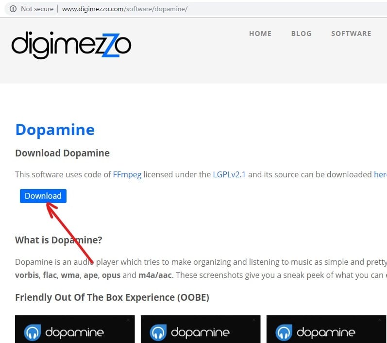 Visit website dopamine and click download