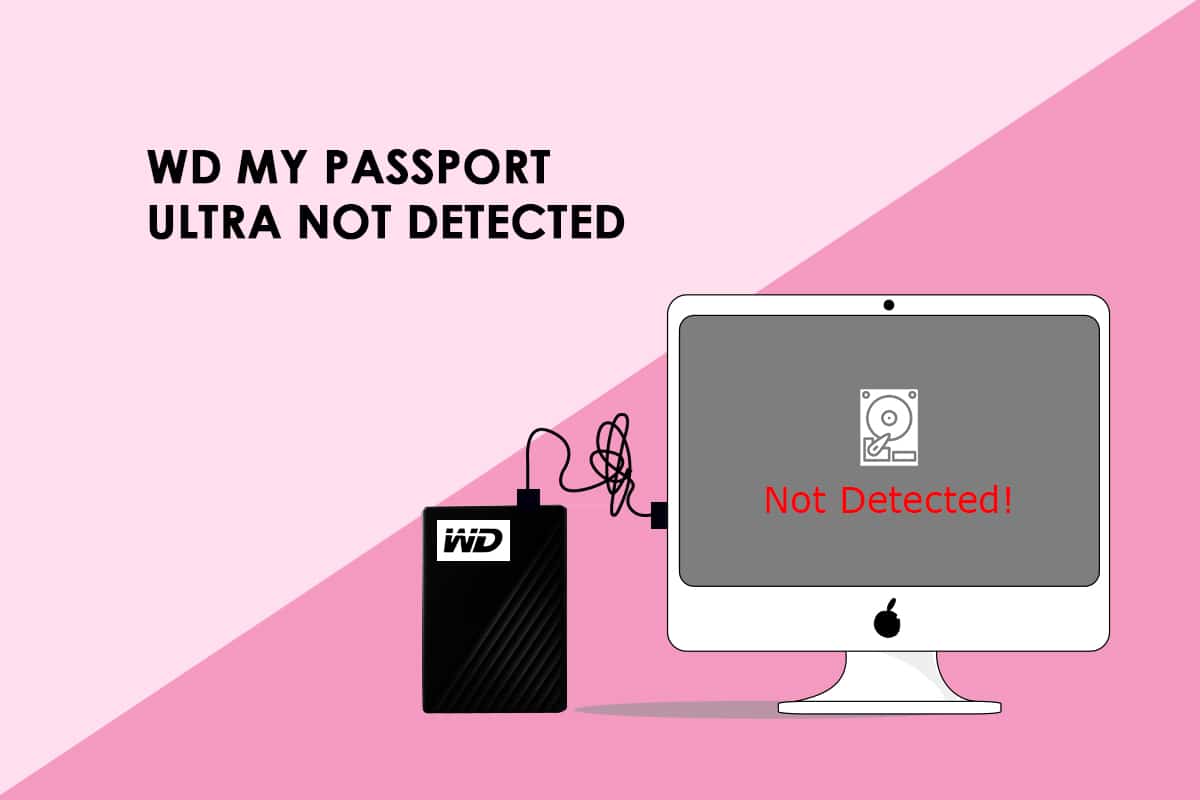 Виправити помилку WD My Passport Ultra не виявлено в Windows 10