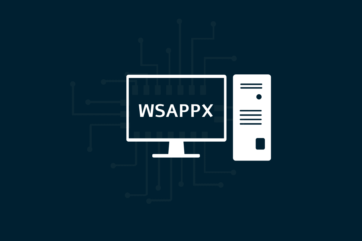 Wsappx 란 무엇입니까? – 테크컬트