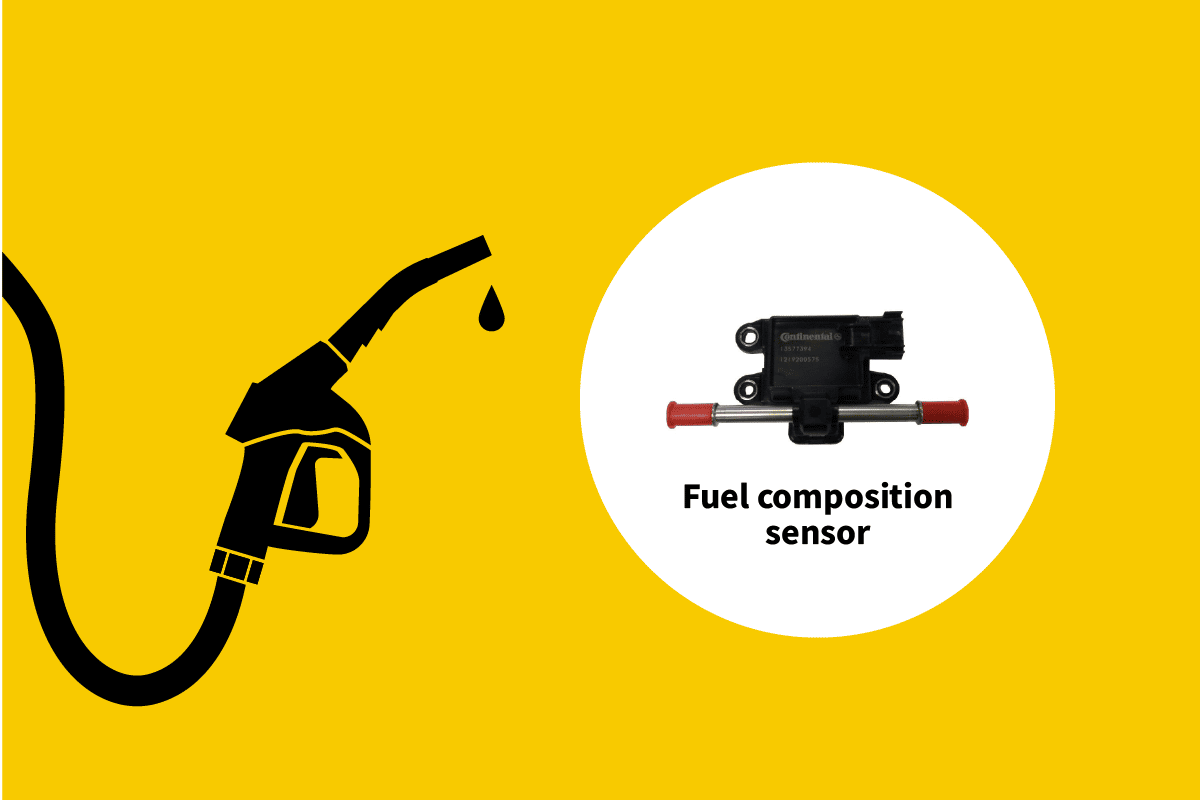Where is the Fuel Composition Sensor Located?
