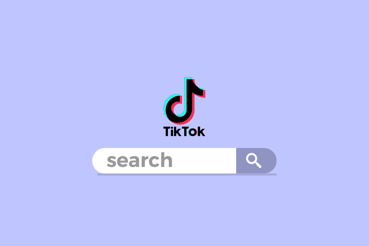Where is the Search Bar on TikTok?