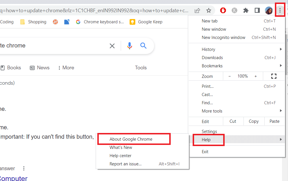 About Google Chrome option