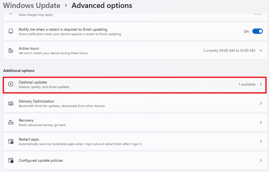 Advanced option in Windows update. Ways to speed up Windows 11