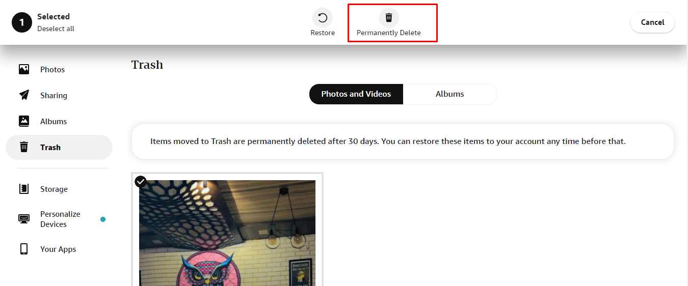 After selecting the photo, click on the Permanently Delete option present at the top of the page.