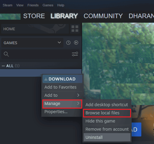 browse local files steam game