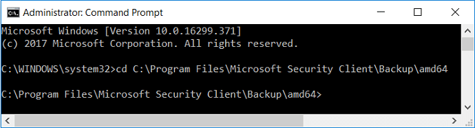 cd the Microsoft Security Client directory