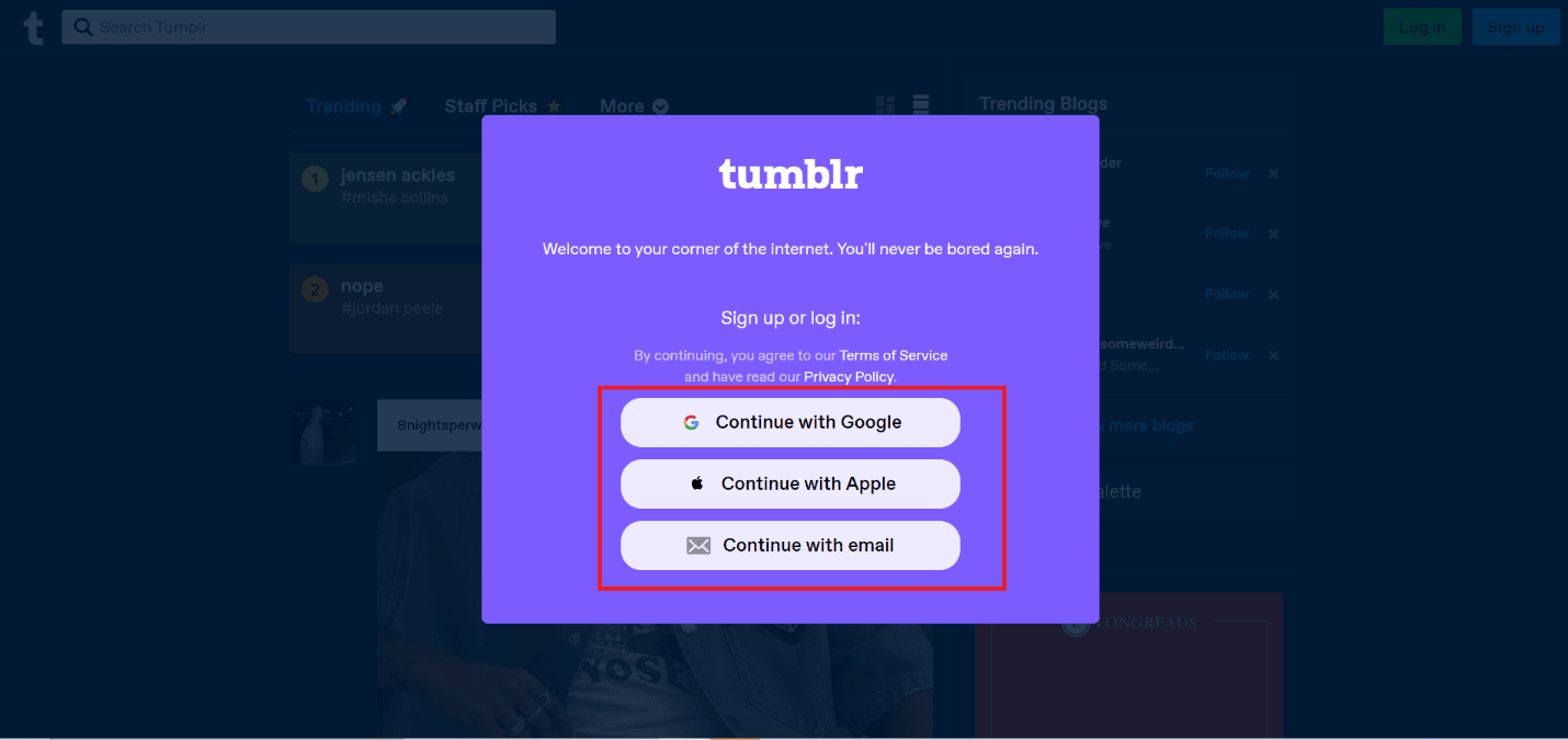 choose any option to log in to your account | look at your archive on Tumblr