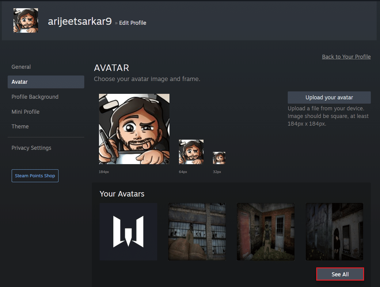 click on See All button in Steam Profile avatar page on browser