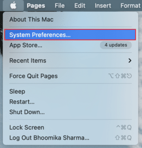 click on System Preferences in the MacBook