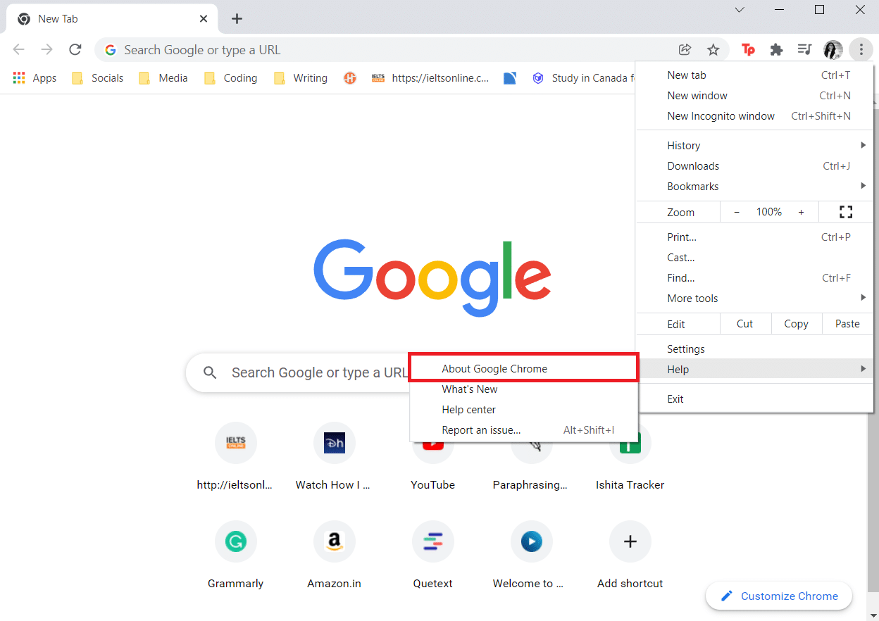 Click on About Google Chrome. Fix Oops Something Went Wrong on YouTube