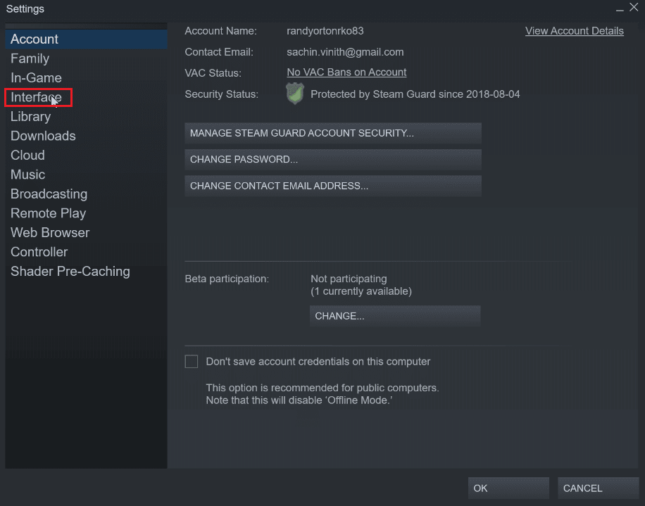 click on interface. How to Make Steam Disable Auto Update