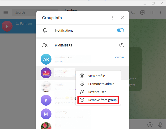 Click on Remove from group. How to Add Members in Telegram Group