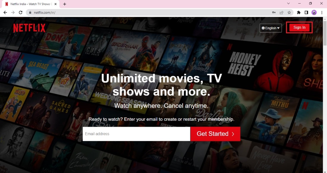 Click on Sign In. Fix Netflix pardon the interruption