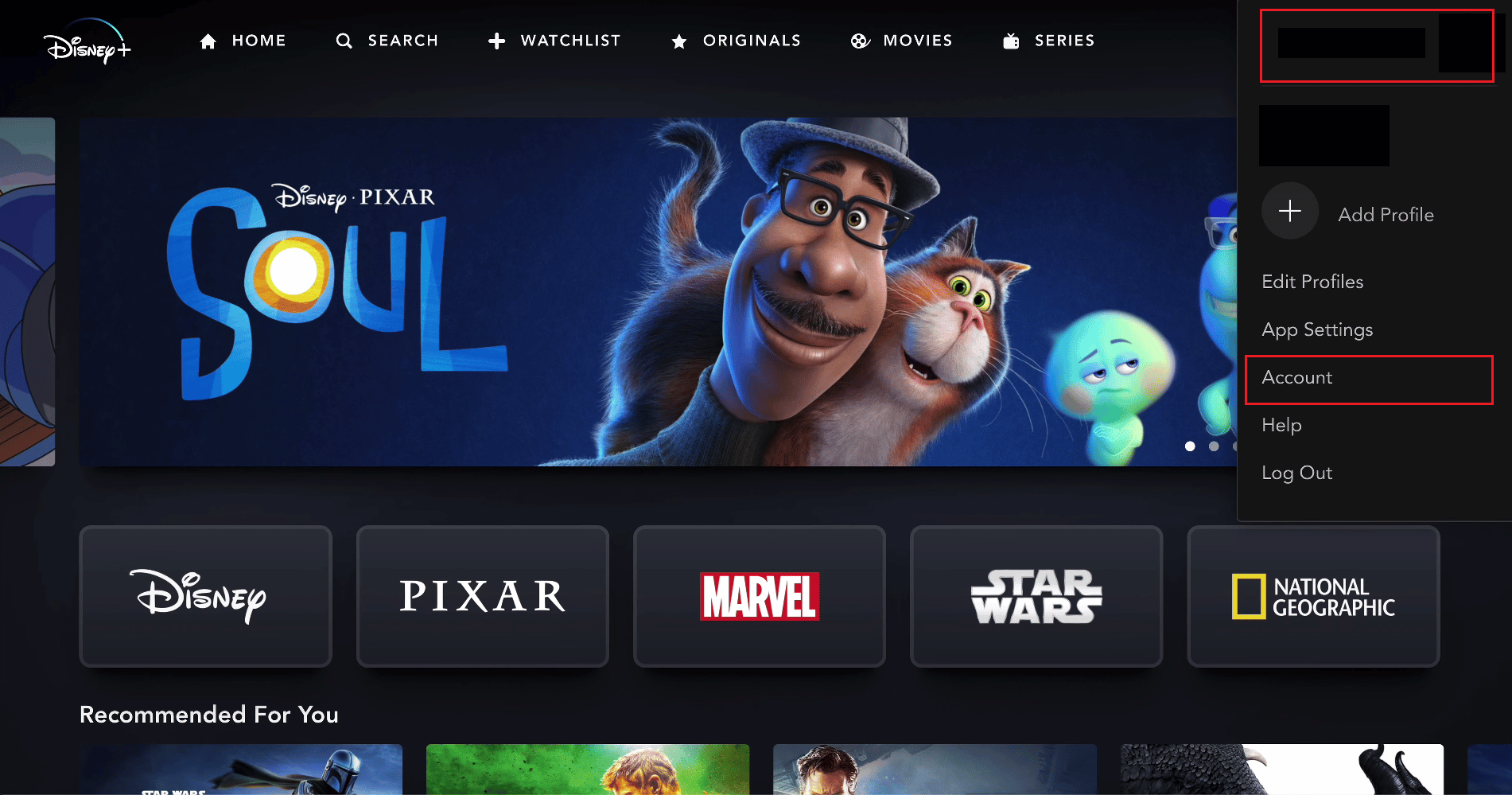 click on the profile icon - Account | How to Update Disney Plus Account
