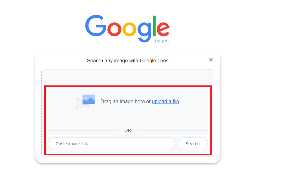 Drag and drop the image you want to search