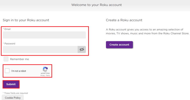 Enter email and password on Roku homepage