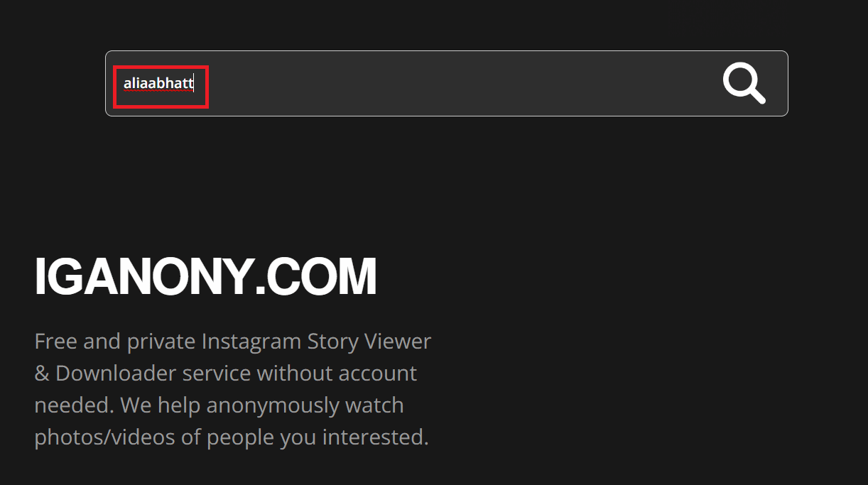 Enter username in search box on Iganony | view Instagram posts and stories without an account