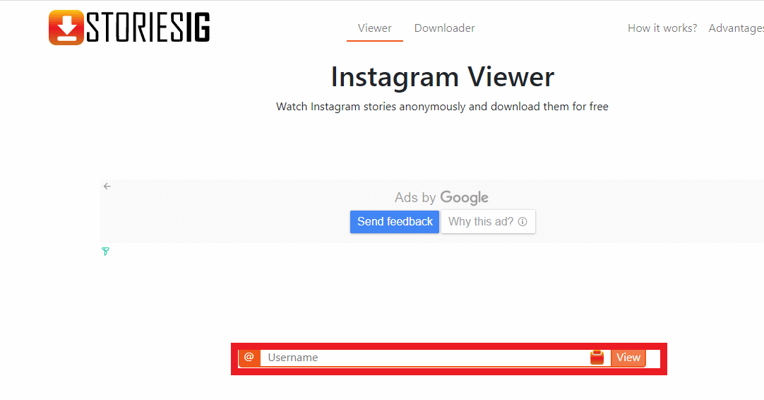 Enter the username of profile in search bar of StoriesIG