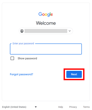 Enter your password and click on the Next button to login to your Google account.