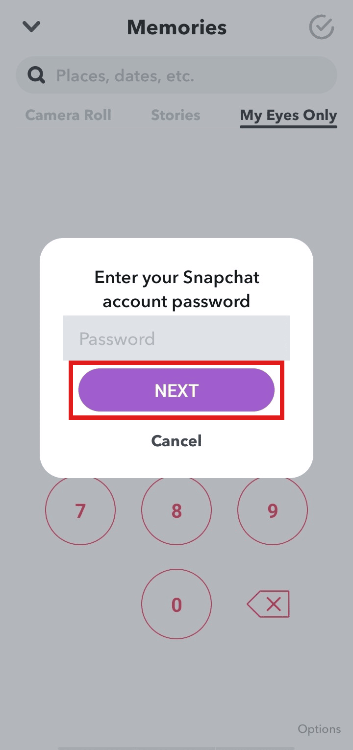 Enter your Snapchat account password and tap NEXT.