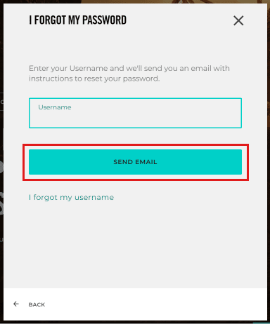 Enter your username and click on SEND EMAIL