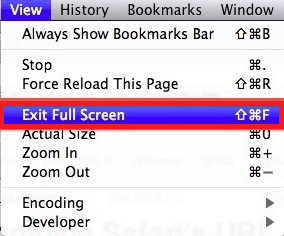 exit full screen on Mac Google Chrome