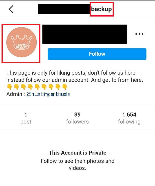 Fake Username and Profile Picture of an Instagram account