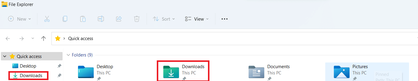 File explorer in Windows 11. Fix Unable to Connect to EA Servers