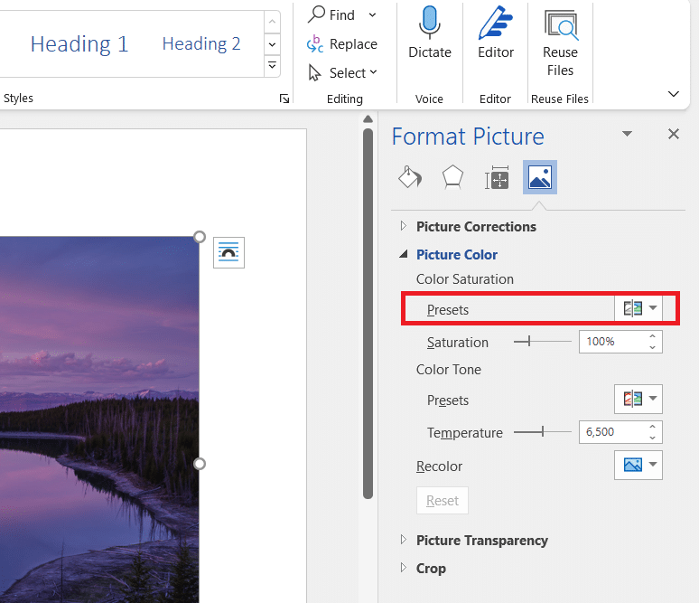 Format Picture. Presets option. how to make a picture black and white in paint windows 10