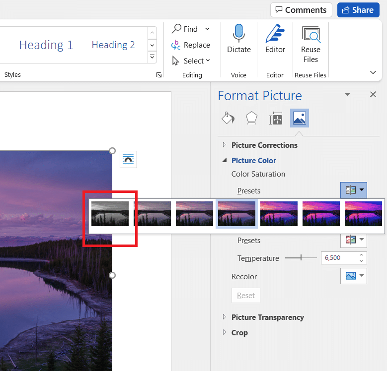Format Picture. Presets preview. how to make a picture black and white in paint windows 10