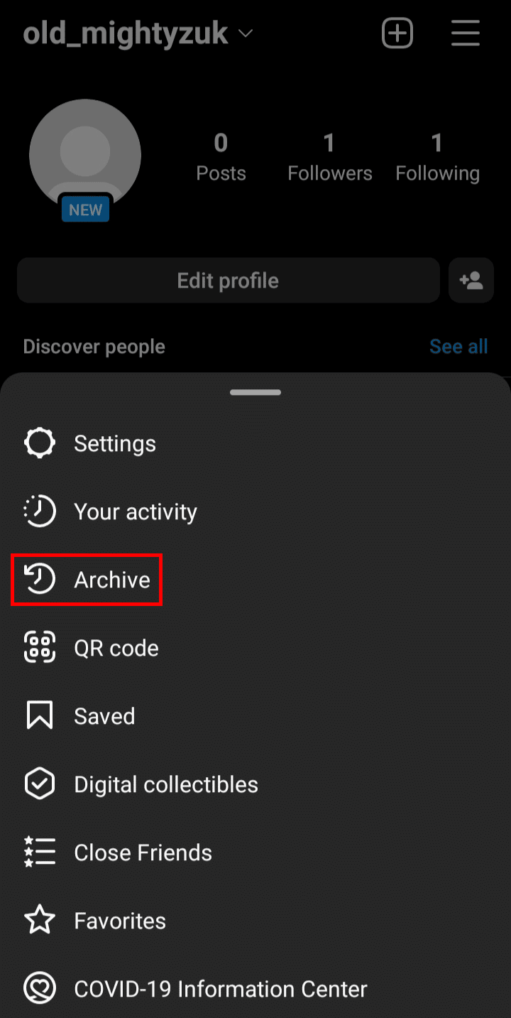 From the pop-up menu, tap on the Archive option.