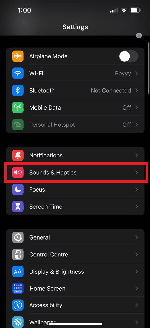 Go to the Sounds and Haptics/ Sounds option. | iPhone call volume too low after update