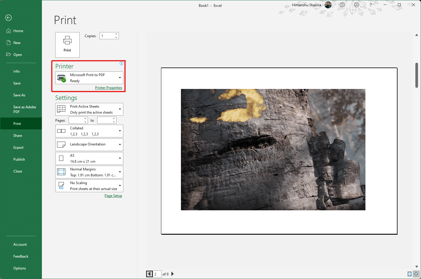 You can repeat steps 7, 8, and 9 to adjust the number of print copies you require of the image from the Settings until the desired preview is reached. Click on the Printer drop-down menu option to find and select the printer connected with your system.