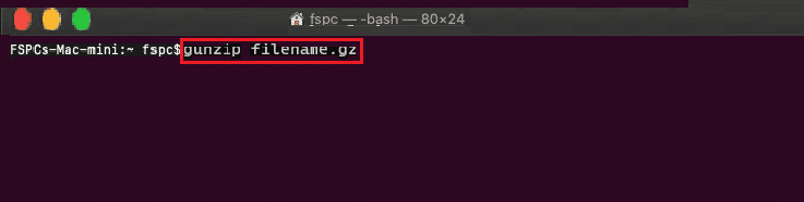 gunzip filename.gz mac terminal command